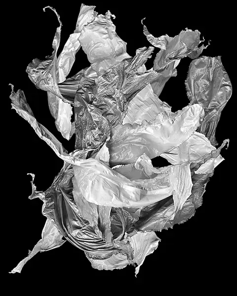 barsotti detritus-4 by Peninsula Photographic Arts Guild