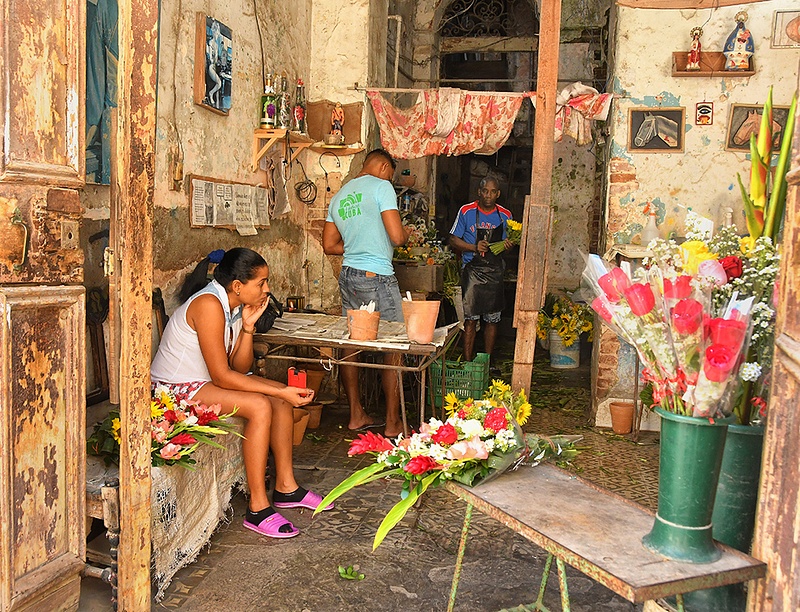 Flower Shop Havana WLC_0749