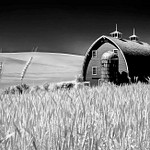 Landscapes-Barns-Palouse