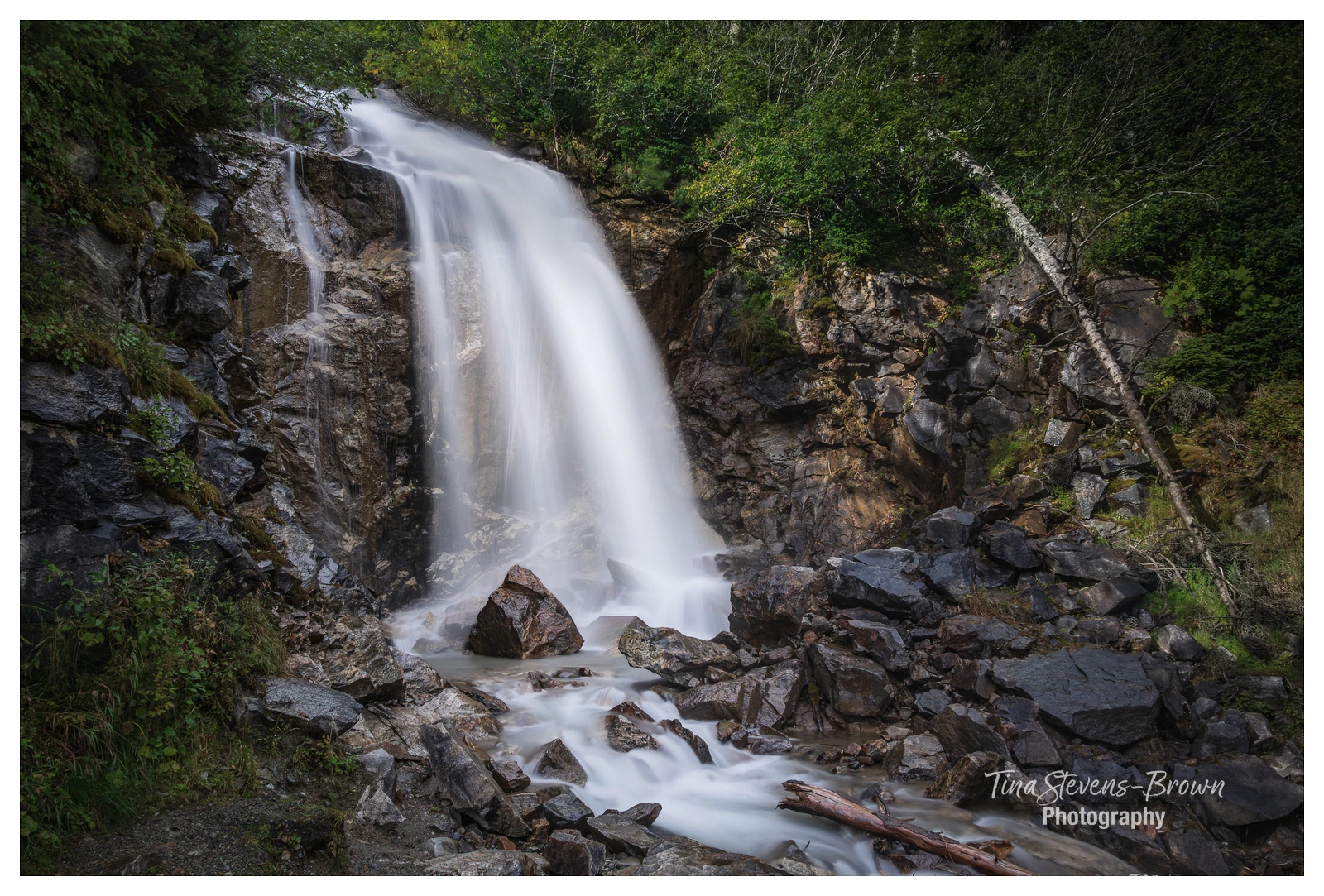 Tina Stevens-Brown Photography