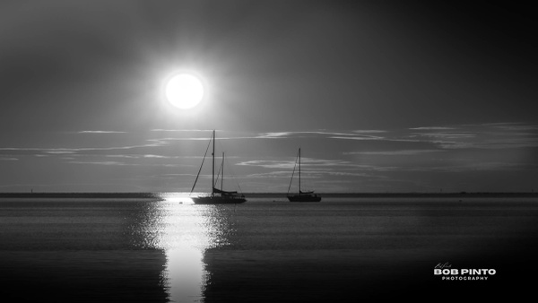 $$$/CRaw/Filter/Title/Denoise=Denoise - Black &amp; White - Bob Pinto