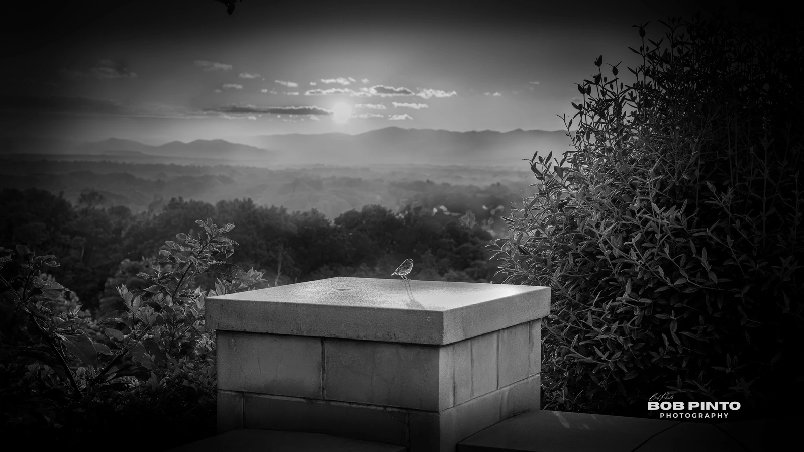 The Art of Slowing Down - Oct 02, 2026