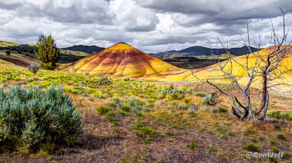 The other world: Just One Lonely Painted Hill - Oregon Smiles (Landscape) - Ron Wolf Photography