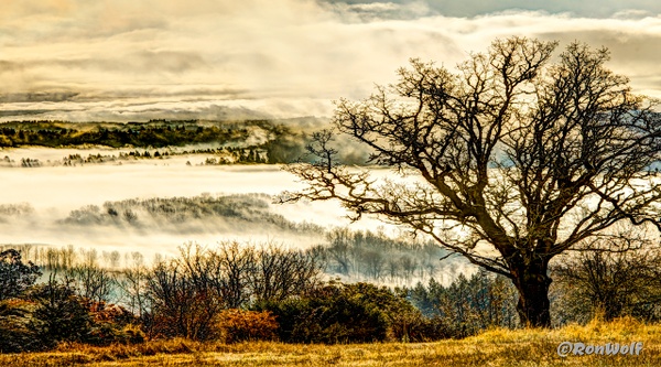 Fog Textures Covering  Willamette River  Valley - Oregon Smiles (Landscape) - Ron Wolf Photography 