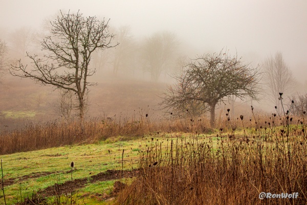 Late Seasonal Textured Fog - Oregon Smiles (Landscape) - Ron Wolf Photography