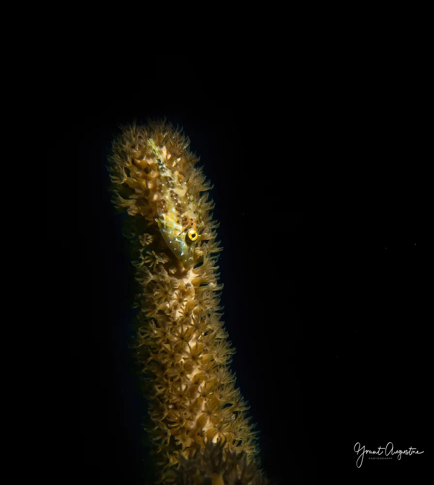 DSC05380-Edit-Edit-Edit