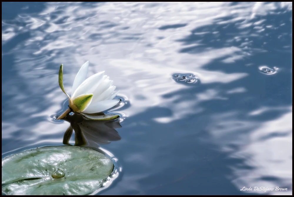 At Rest