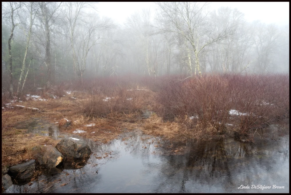 Distant Fog