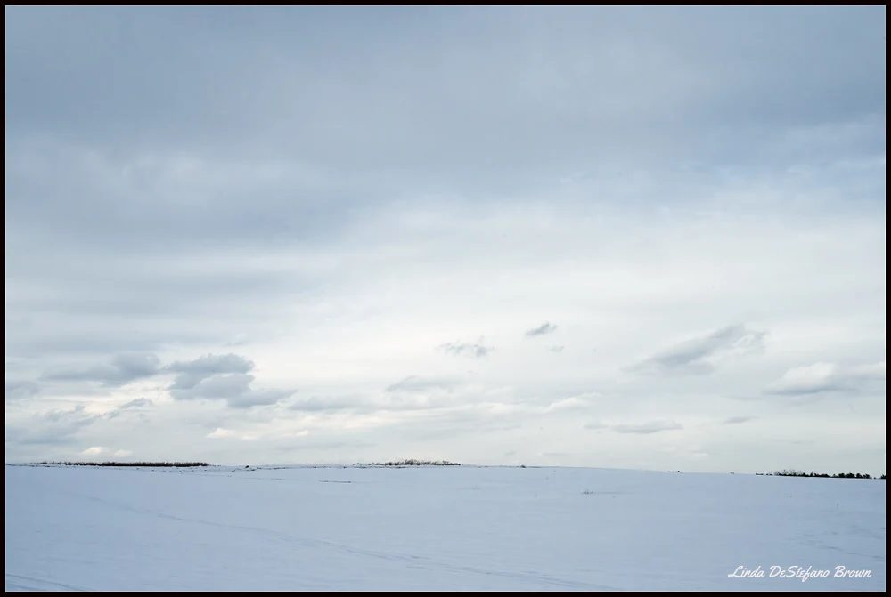 Vastness