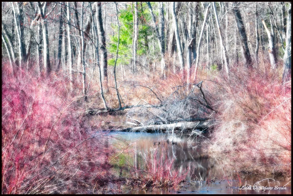 Th Coming of Spring