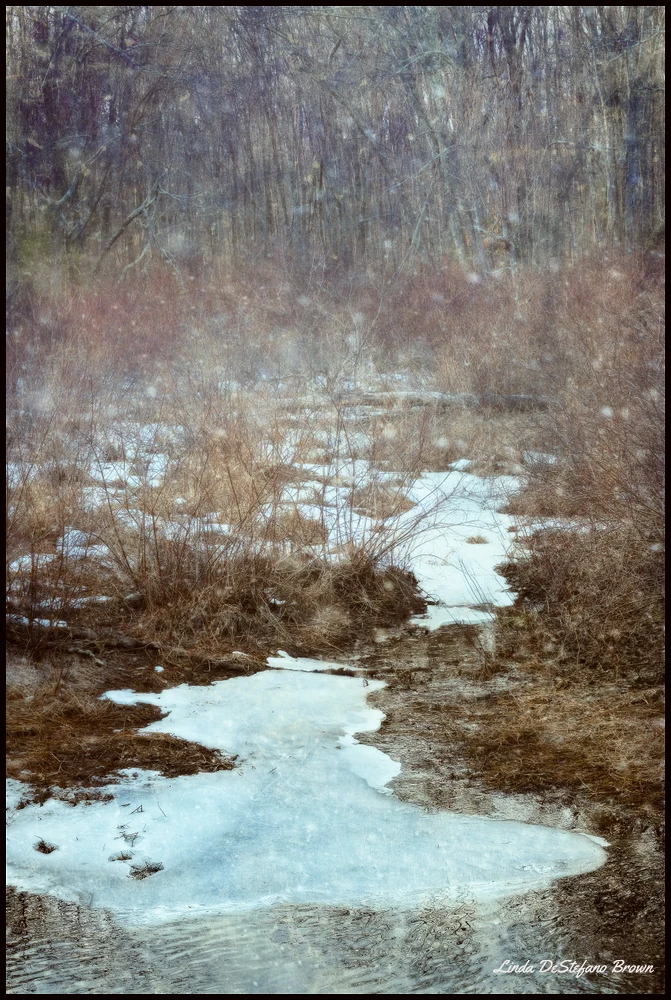 Winter Creep