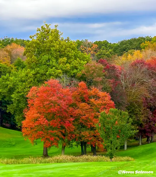 Fall Color_COMP__10_24_21 by NormSolomon