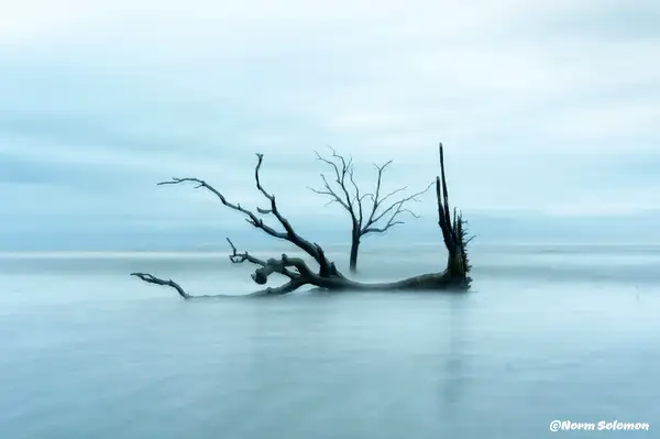 BONEYARD Outer Banks by NormSolomon