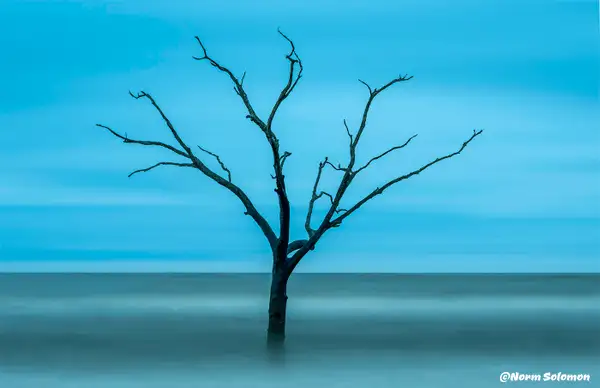Boneyard_Outer Banks _Lone Treee_37  copy 2 by...