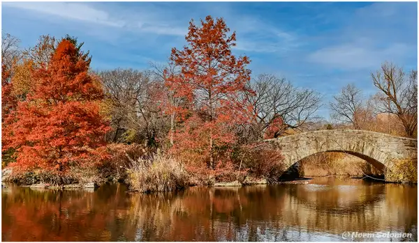 GAPSTOW BRIDGE and POND__Central Park151_12_10_21_CP_1 ...