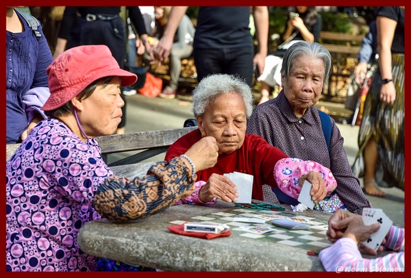 NYC-The Card Game - PEOPLE - Norm Solomon Photography 