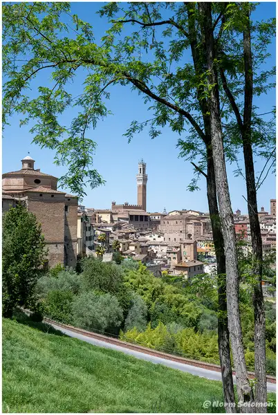 Siena ITALY_1396_2022 copy 2 by NormSolomon