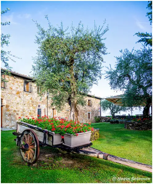 Tuscan Flower Cart ITALY_1444_2022 copy 3 by NormSolomon