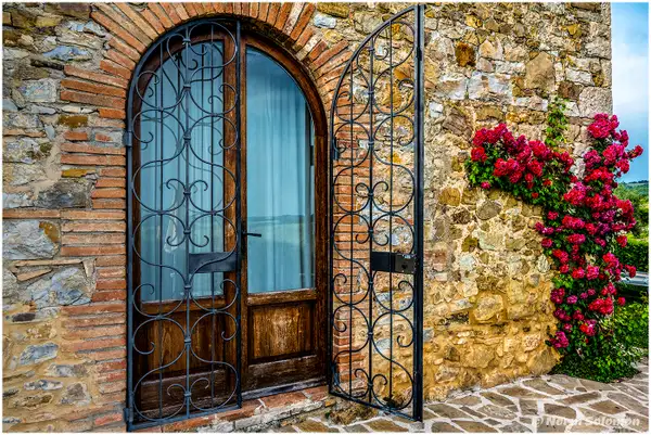 VILLA DOOR ITALY_1213_2022 copy 2 by NormSolomon