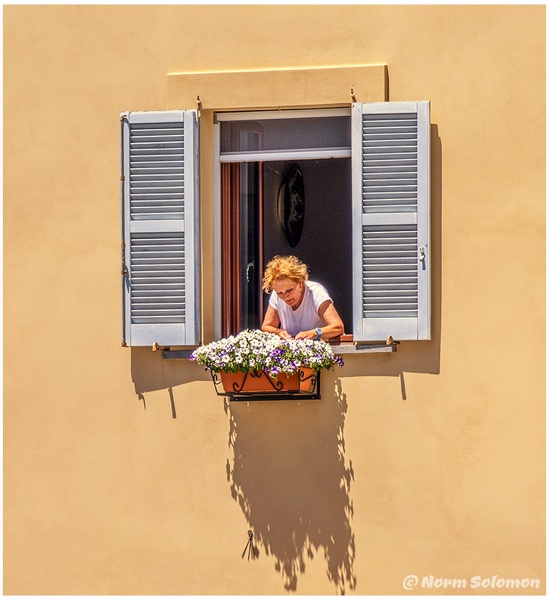 Windowbox Garden ITALY_1062_2022 copy - Norm Solomon Photography
