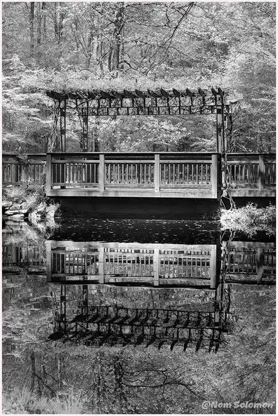 Bridge Reflection_Gibbs Garden_N GHA_4_22 by NormSolomon