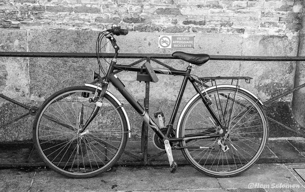 Civil Disobedience Italian Style ITALY_143_2022 copy 2...