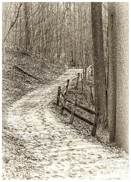 Snowy Path - Norm Solomon Photography