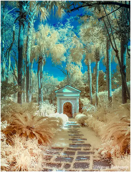 INFRARED by NormSolomon