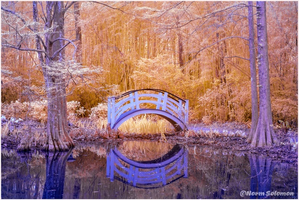 Magnolia Bridge Reflection SC CHARLESTON_103_2022_APRIL copy - INFRARED - Norm Solomon Photography 