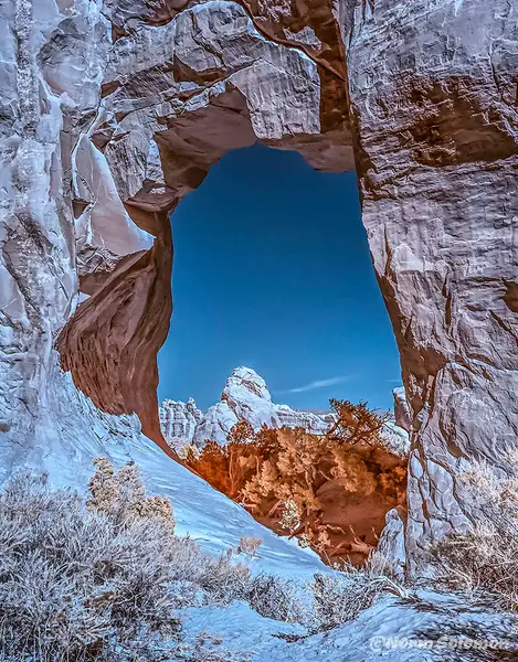 PINE TREE ARCH_3 by NormSolomon