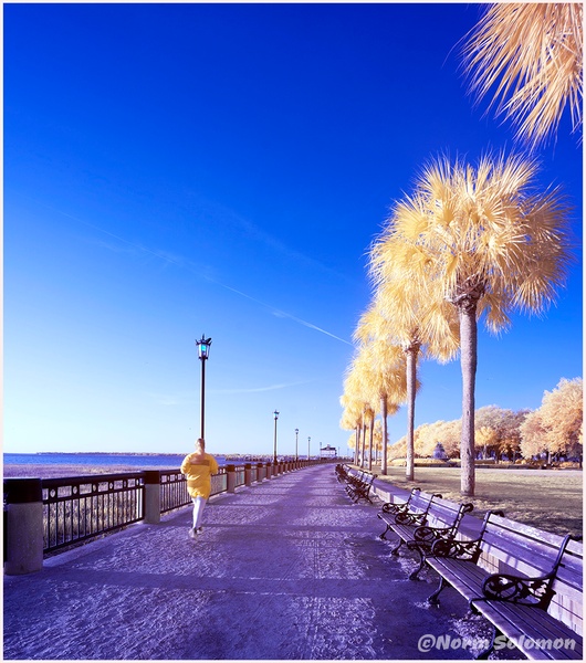 RUNNING ON  THE SEAWALL_CHARLESTON_199_2022_APRIL copy - INFRARED - Norm Solomon Photography 