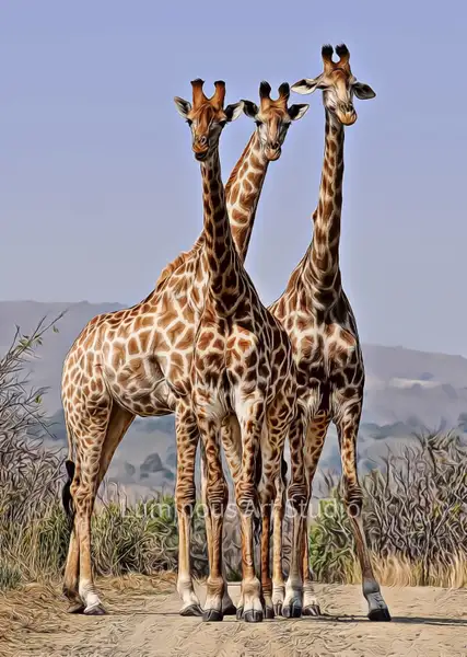 3-Giraffes-Art-005 by LuminousLight