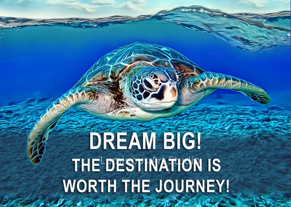 sea-turtle-motivation-poster - LuminousLight 