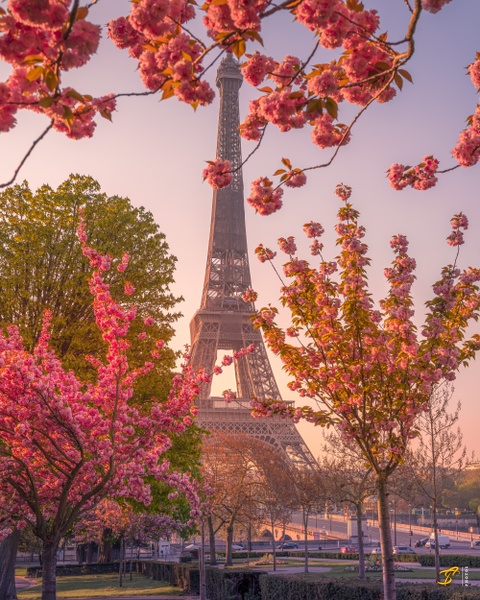 Eiffel Tower in Spring I, Paris, France, 2021 - Color Private Archive &amp;#821 Thomas Speck Photography