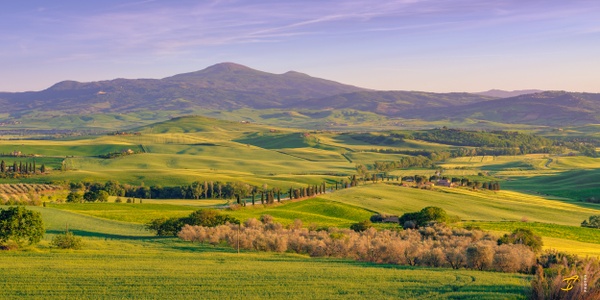 Toscana Landscape, Toscana, Italy, 2022 - Color Private Archive &amp;#821 Thomas Speck Photography