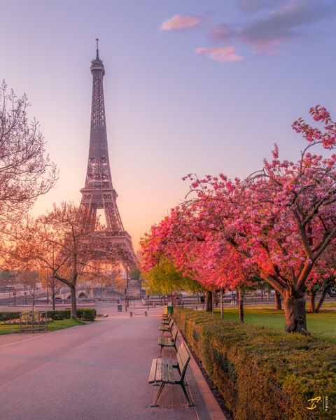 Eiffel Tower in Spring II, Paris, France, 2021 - Color Private Archive &amp;#821 Thomas Speck Photography 