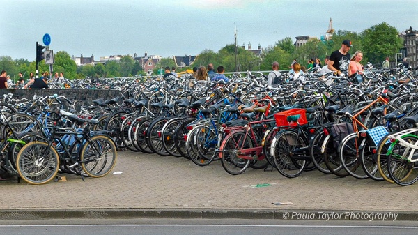 Bicycle Parking Lot - Amsterdam - Paula Taylor Photography 