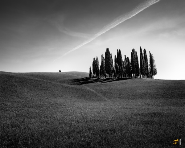 Cypres Trees, Toscana, Italy, 2022 - Landscapes B&amp;W - Thomas Speck Photography