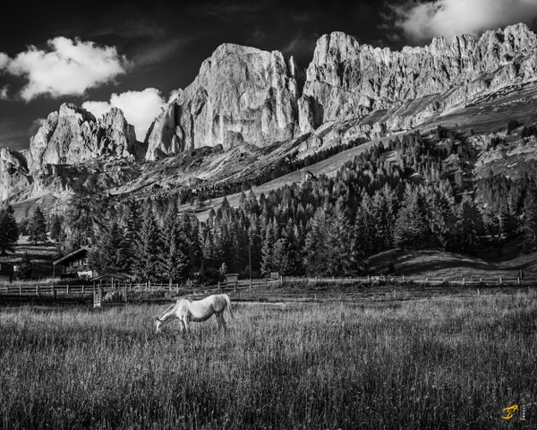 Horse, Dolomiti, Italy, 2022 - Landscapes B&amp;W - Thomas Speck Photography