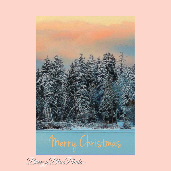 Breezy Blue Christmas Greeting Cards Winter Forrest - Chinelo Mora 