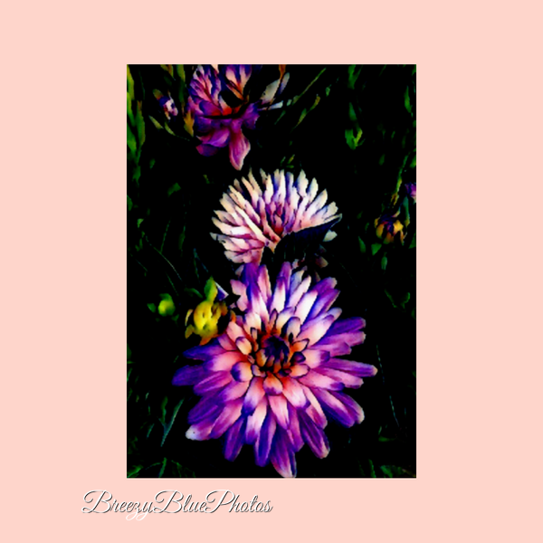 Breezy Blue Greeting Cards Pink Flowers II - Chinelo Mora 