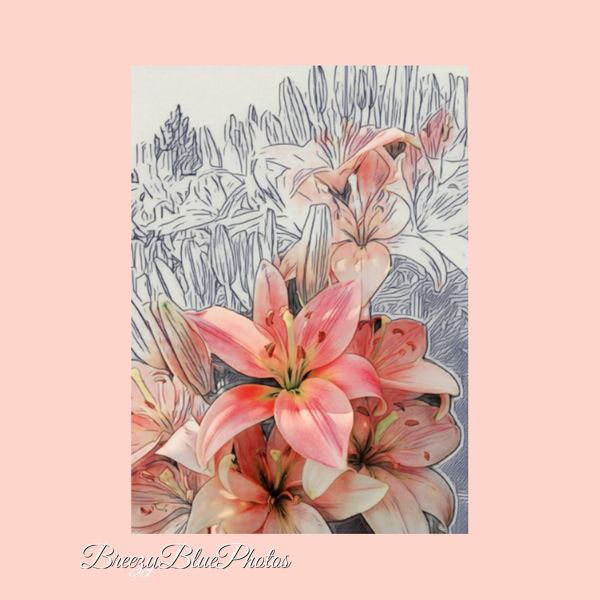 Breezy Blue Greeting Cards Pink Graphic Flowers - Chinelo Mora 