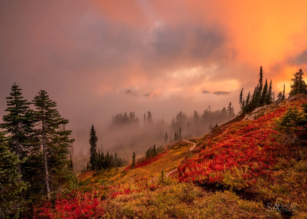 Lead me here