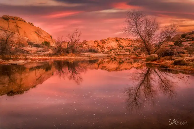 Dreamy Reflections