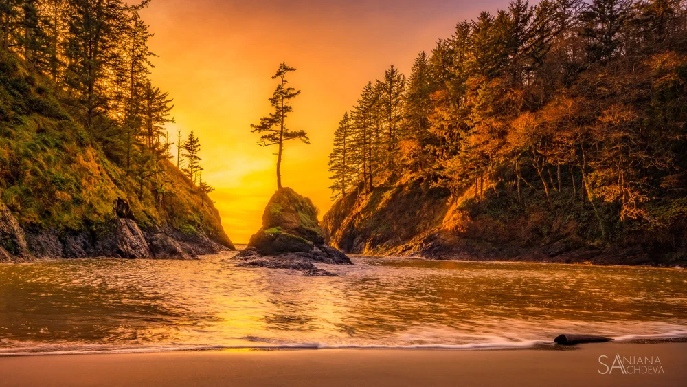 Golden Treasure