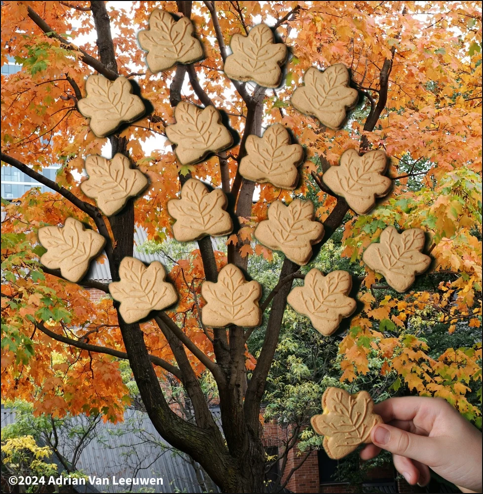 Maple-Cookies