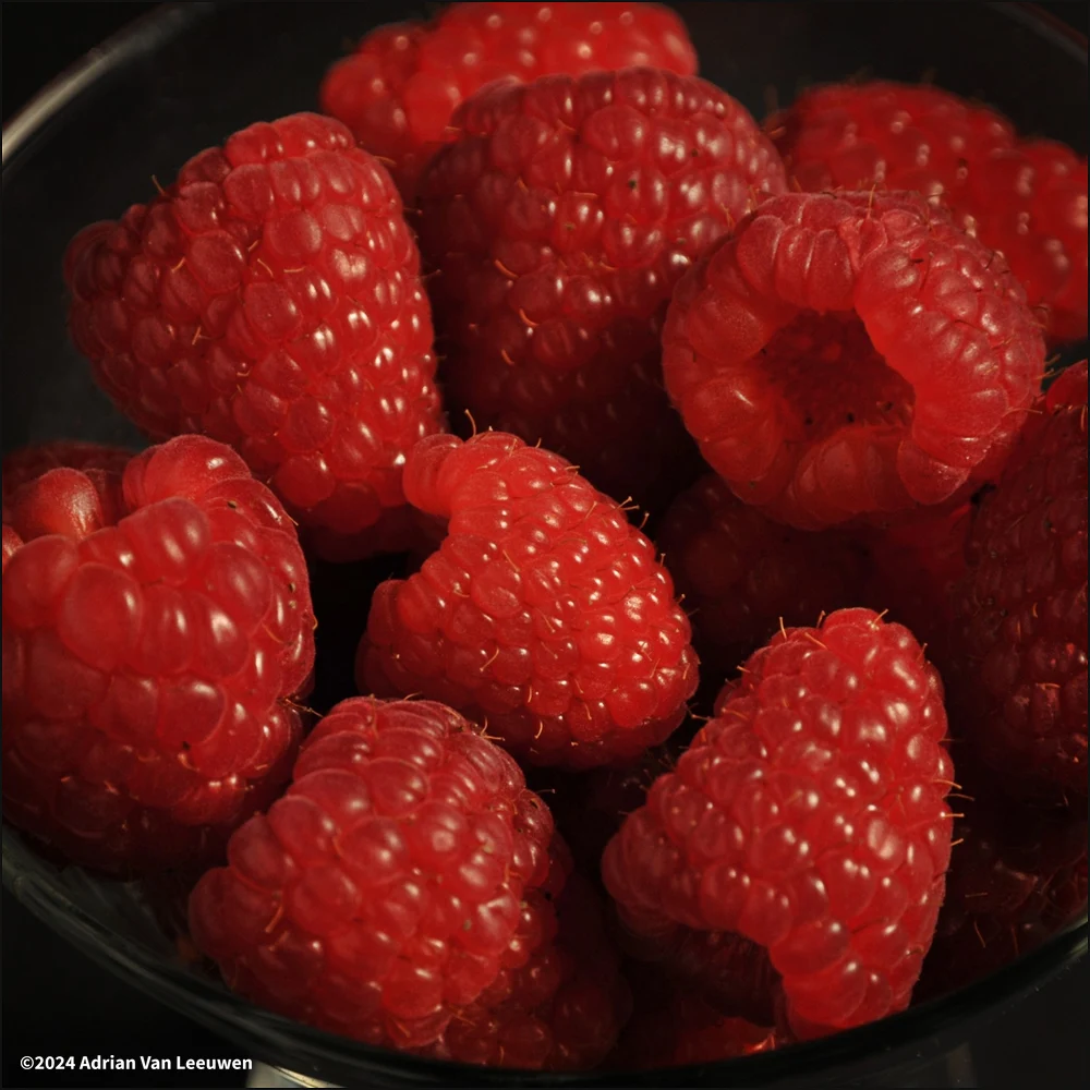 Raspberry-Fruit