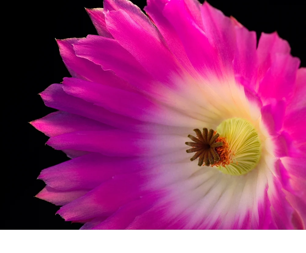 'Universe Unfolding' (AA   Place) by Harvey Abernathey, www.ndphotos.com - MR