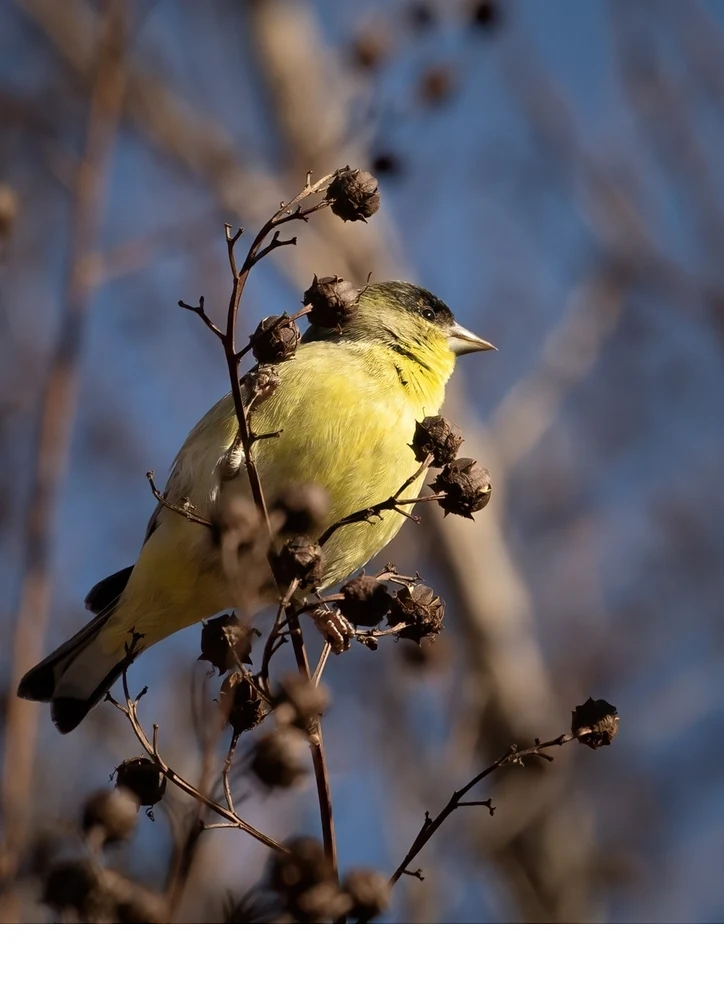 'Warming in the Winter Sun' (PA   Place) by Gary Oehrle, Fellow - LVCC