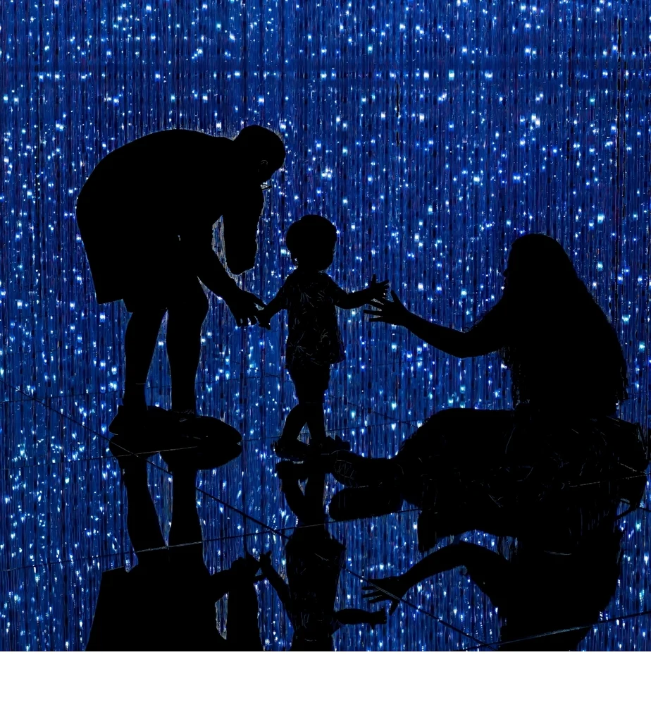 'A Tiny Step Through a Universe of Light' (PI   Place) by Patricia Cockerham - MR